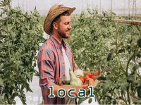 Definition & pronunciation of local