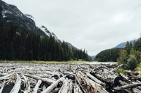 Definition & pronunciation of logjam