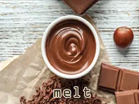 Definition & pronunciation of melt