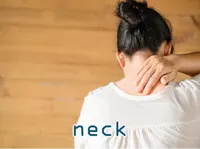 Definition & pronunciation of neck