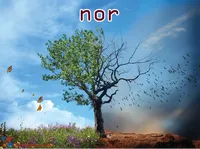Definition & pronunciation of nor