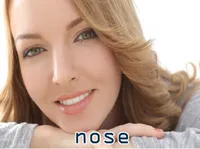 Definition & pronunciation of nose
