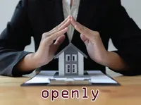Definition & pronunciation of openly