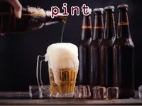 Definition & pronunciation of pint