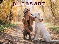 Definition & pronunciation of pleasant