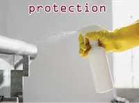 Definition & pronunciation of protection