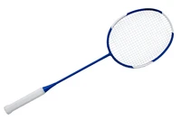 Definition & pronunciation of racket