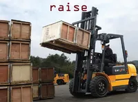 Definition & pronunciation of raise