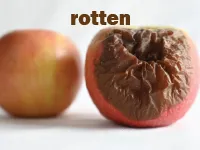 Definition & pronunciation of rotten