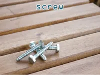 Definition & pronunciation of screw