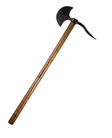 Definition & pronunciation of shaft