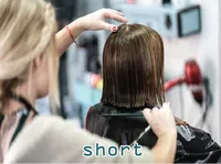 Definition & pronunciation of short