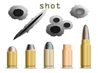 Definition & pronunciation of shot