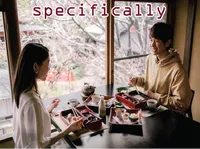 Definition & pronunciation of specifically
