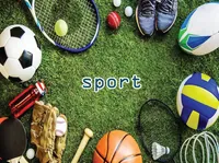 Definition & pronunciation of sport