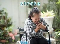 Definition & pronunciation of stroke