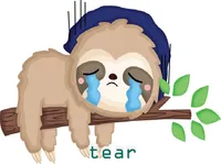 Definition & pronunciation of tear