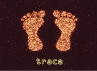Definition & pronunciation of trace