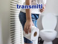 Definition & pronunciation of transmit
