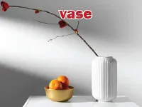 Definition & pronunciation of vase