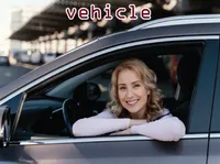 Definition & pronunciation of vehicle