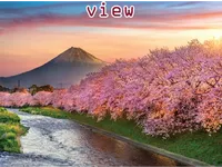 Definition & pronunciation of view