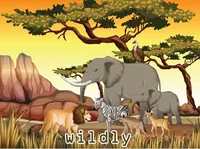 Definition & pronunciation of wildly