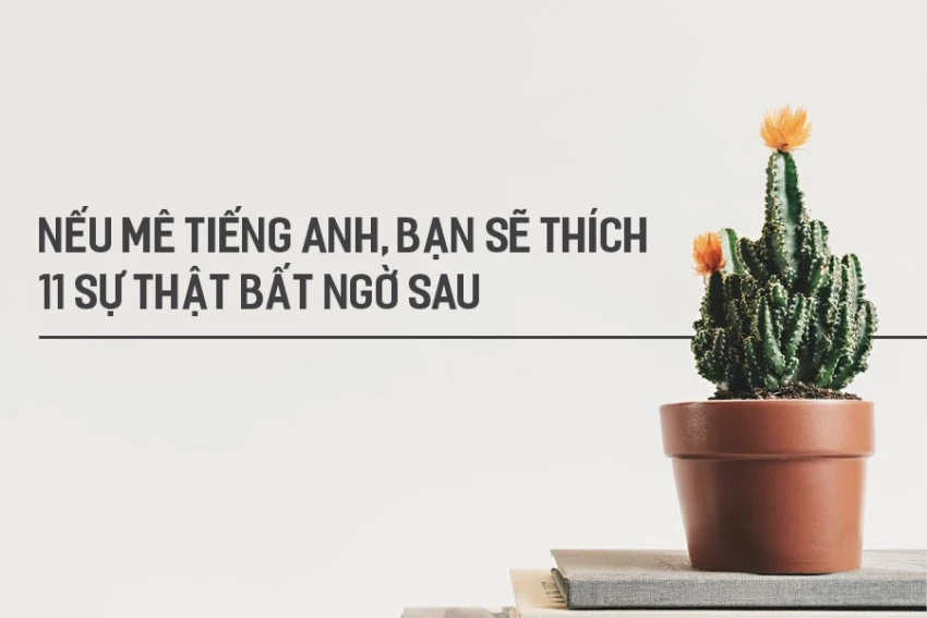 11 Interesting Facts You Probably Didn't Know About English