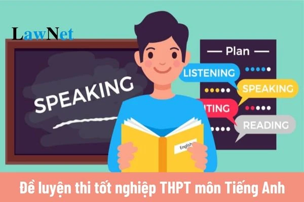 Summary of Popular English Exams: TOEIC, IELTS, National High School Exam and International Certificates