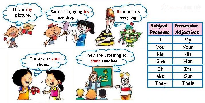 Understanding Possessive Pronouns