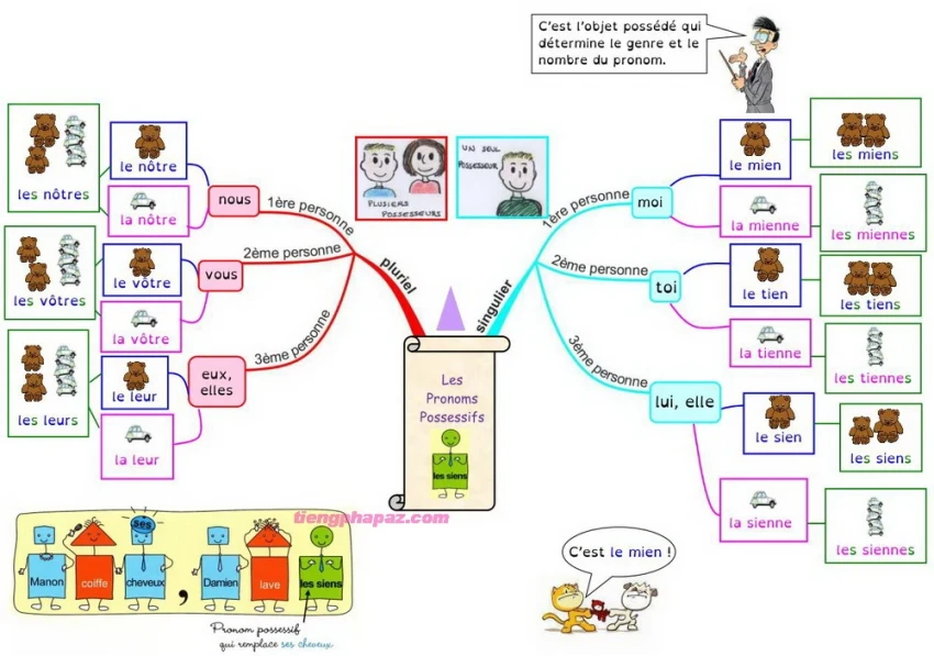 Understanding Possessive Pronouns
