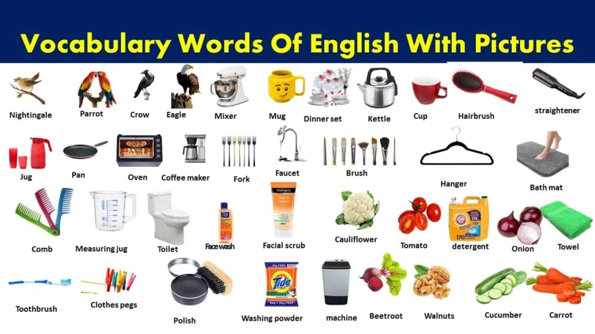 English Vocabulary Library by Topic: Conquer every field!