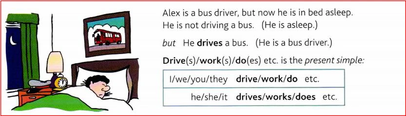Present Simple Tense