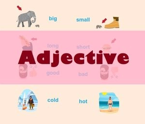 Adjectives in English are classified according to function