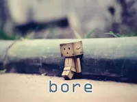Definition & pronunciation of bore