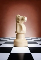 Definition & pronunciation of knight