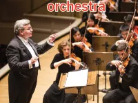 Definition & pronunciation of orchestra
