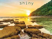 Definition & pronunciation of shiny