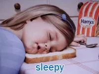 Definition & pronunciation of sleepy