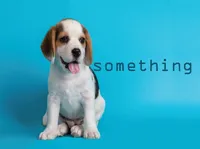 Definition & pronunciation of something