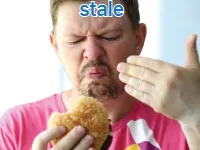 Definition & pronunciation of stale